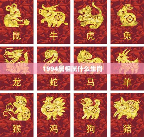 1994 年屬什麼|1994 年出生属什么生肖